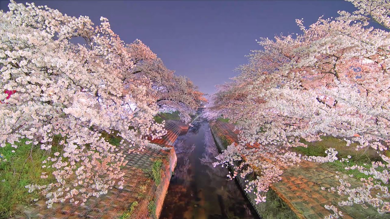 Onaka Park