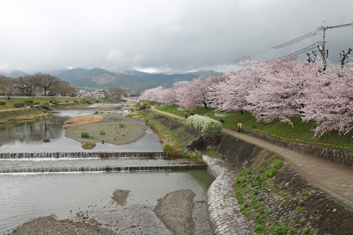 Kamogawa River
