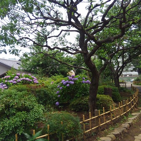 Yanagihara Chigusa Garden