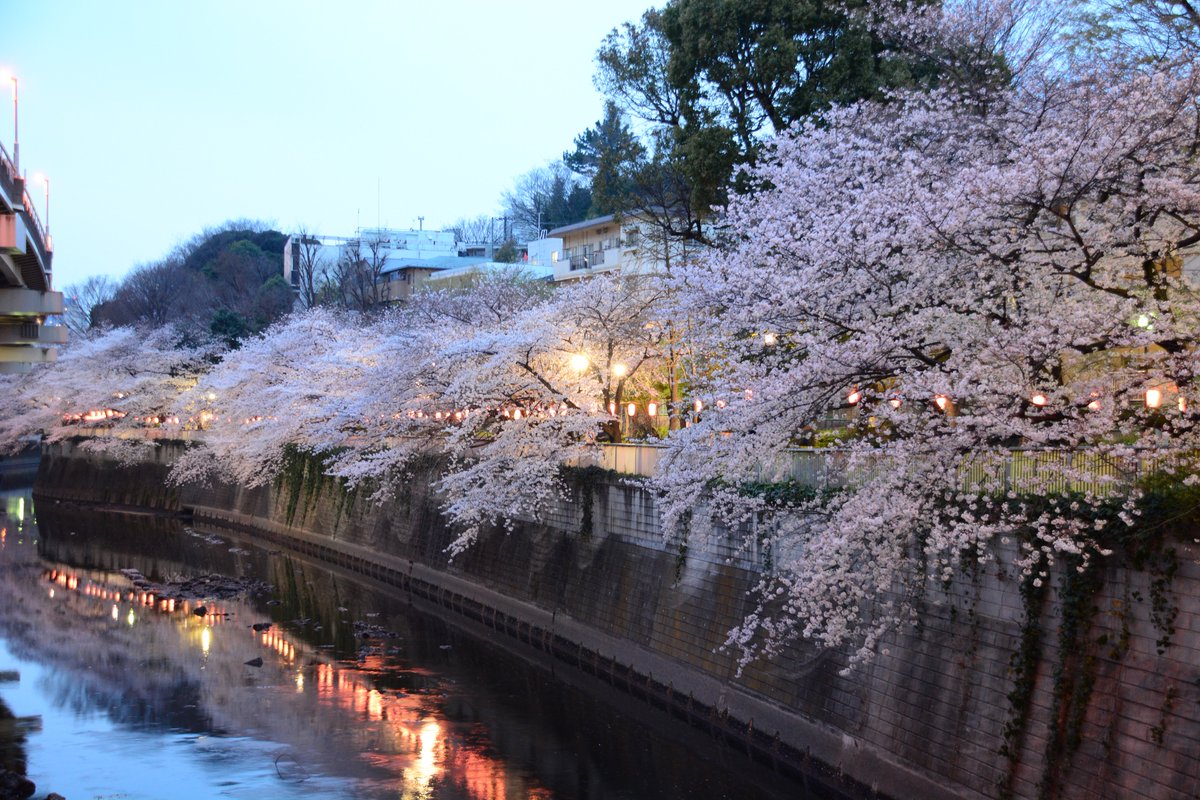 Edogawa Park