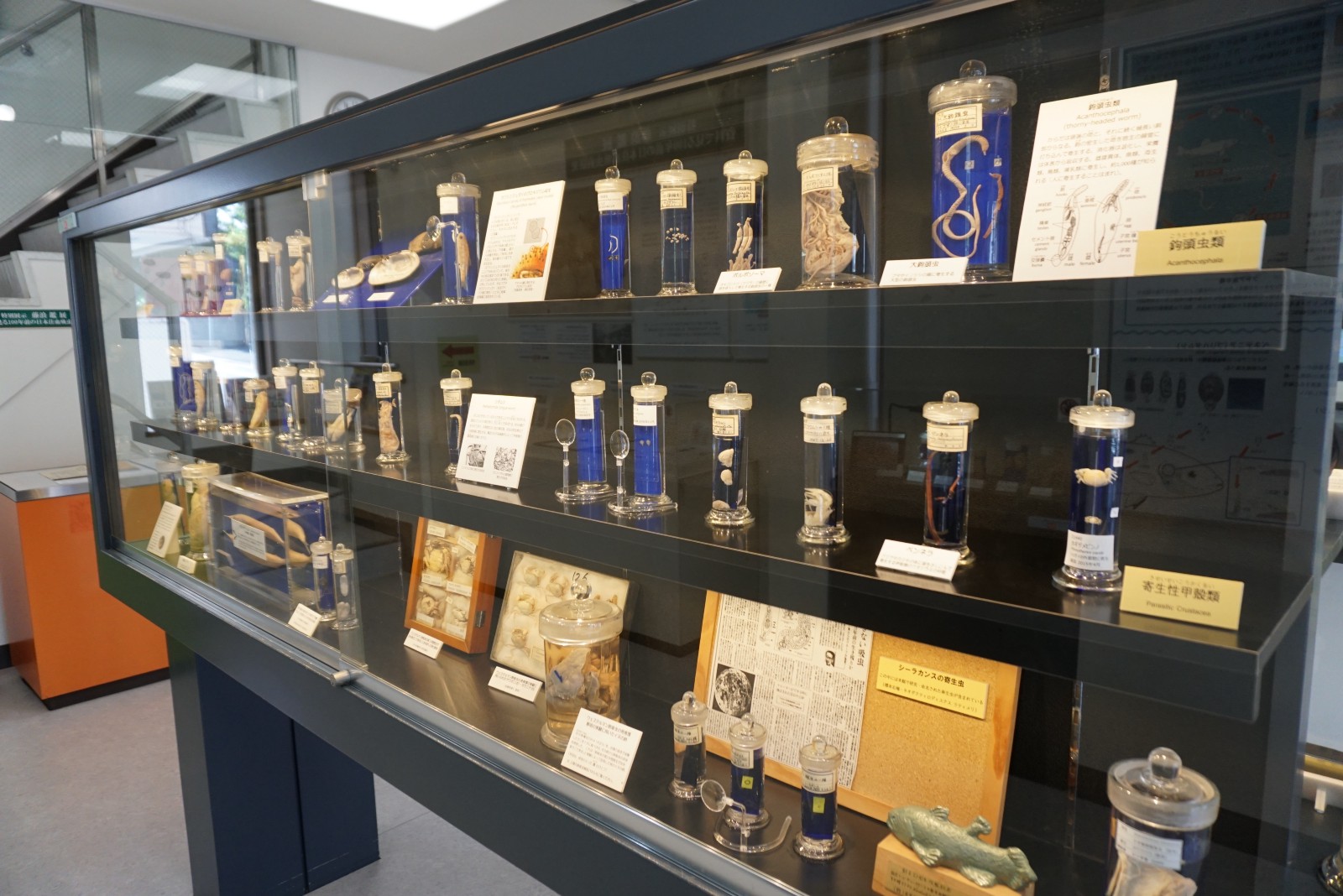 Tokyo Tech Museum and Archives