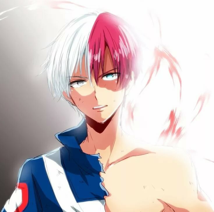 Todoroki Fudoson