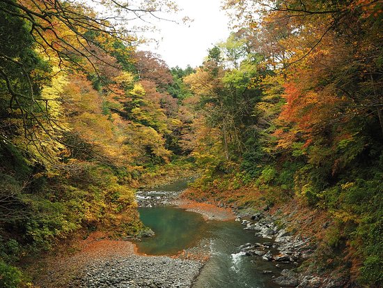 Toke Bridge