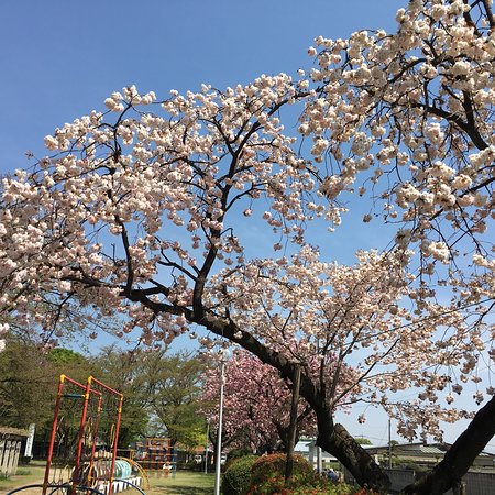 Outdoor Pictures 1