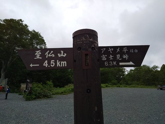 Hatomachitoge