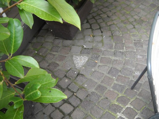 Pietra Che Porta Fortuna