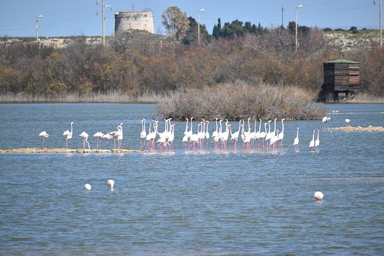 Riserva Naturale Saline di Priolo