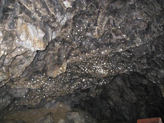 Nippara Limestone Caves