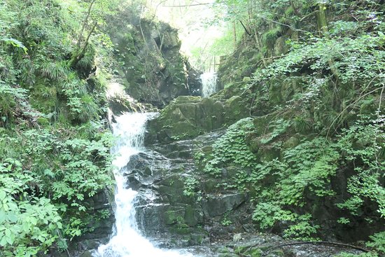 Kuzuryu Waterfall