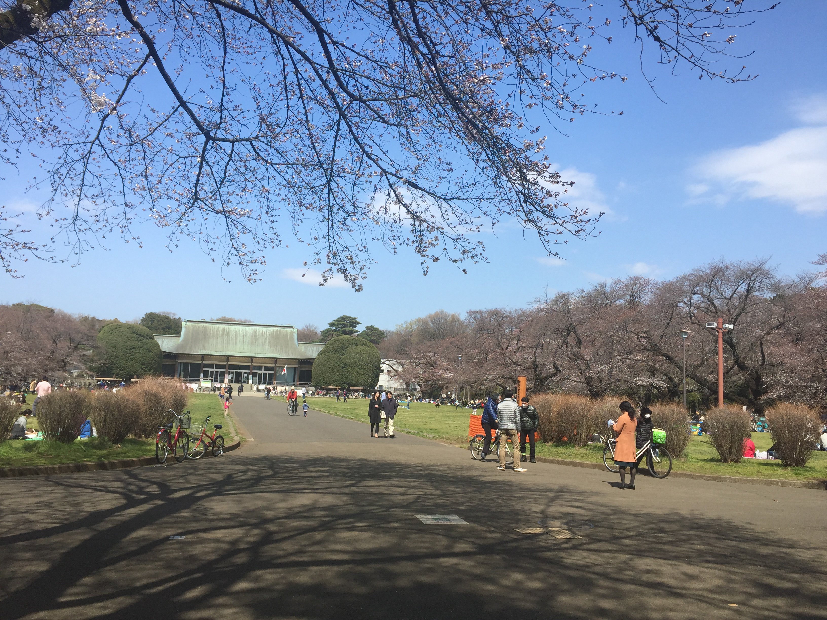 Koganei Park Sports Center