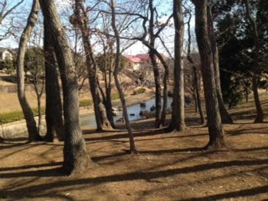Outdoor Pictures 1