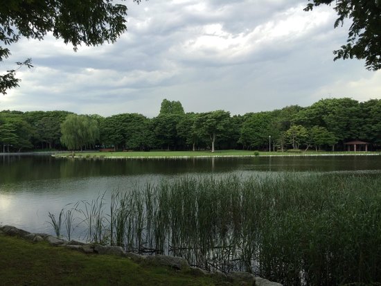 Doho Park