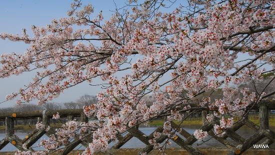 Ottonuma Park