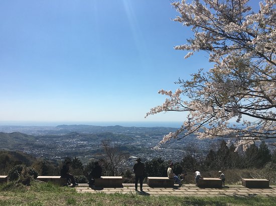 Nanohanadai