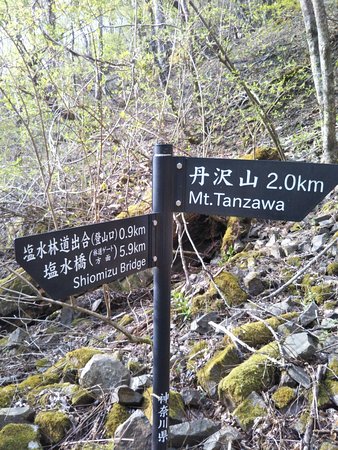Mt. Tanzawa