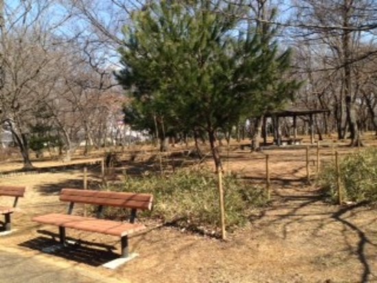 Doto Shinrin Park