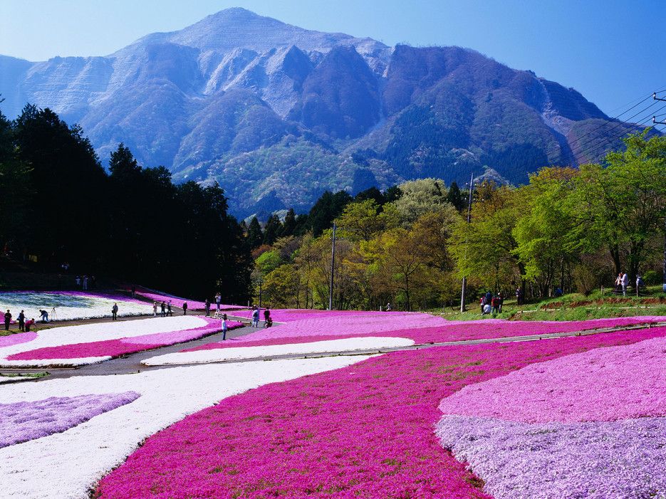 Hitsujiyama Park
