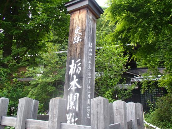 Tochimotoseki Remains
