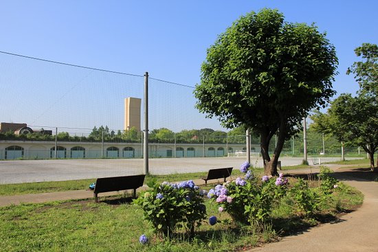 Outdoor Pictures 1