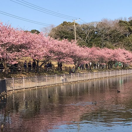 Komatsugaike Park