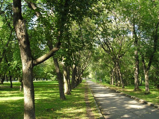 Park of XXII Partsezda