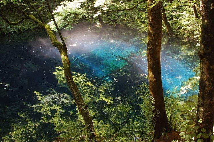Blue Pond