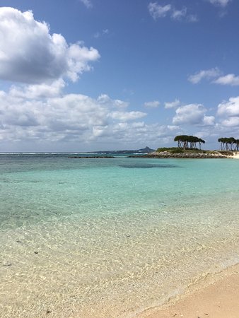 Emerald Beach