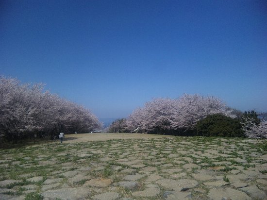 Aonoyama