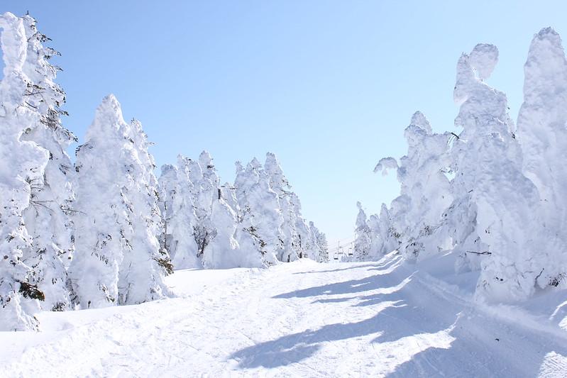 Tendo Kogen Ski Resort