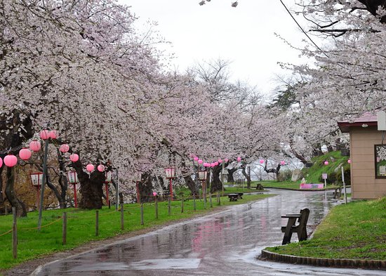 Eboshiyama Park
