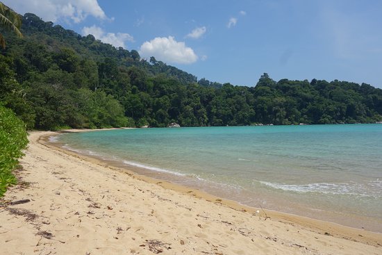 Monkey Bay