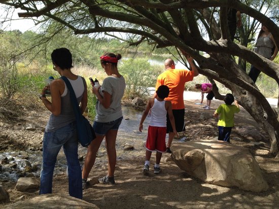 Freestone District Park