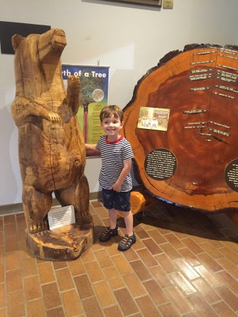 Arkansas Museum of Natural Resources