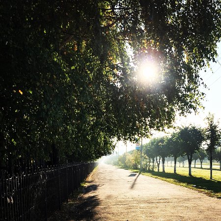 Yelnikovskaya Grove Park of Culture and Leisure