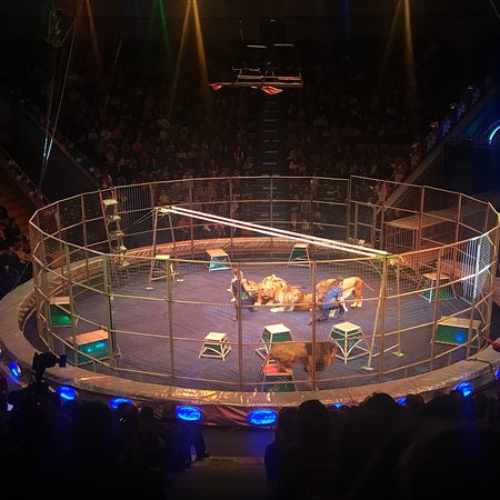 Nizhniy Novgorod Circus