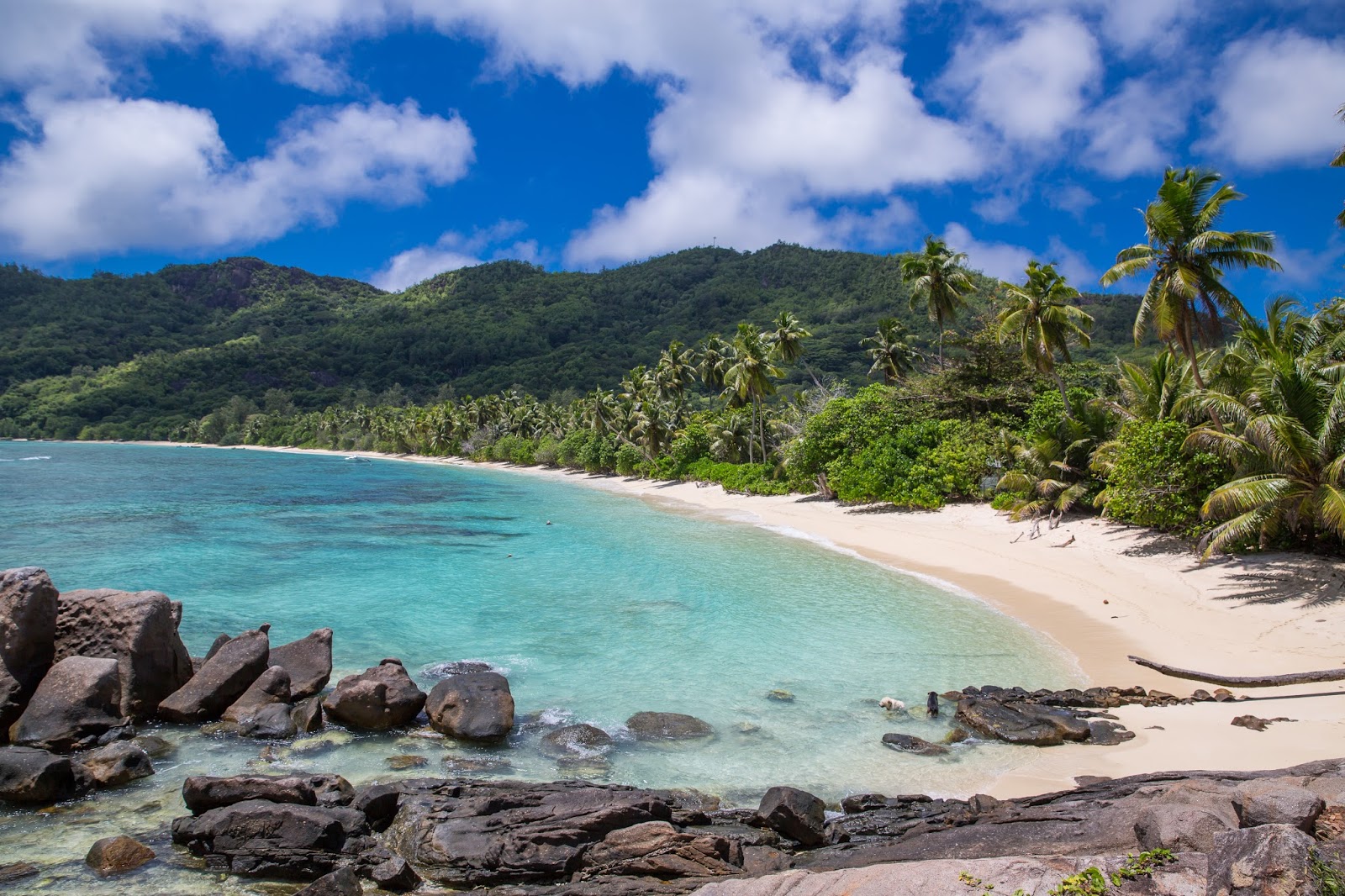 Anse Forbans