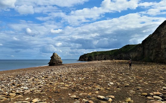 East Durham Coast