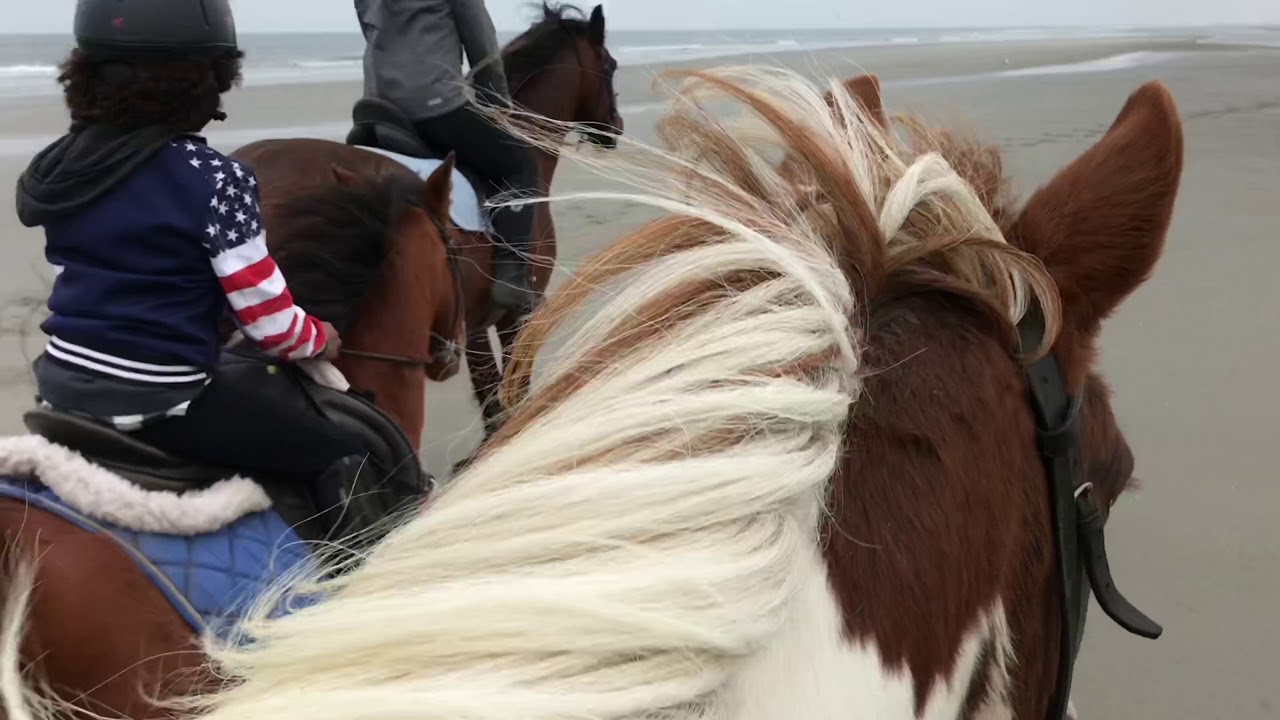 rijstal Le Cheval