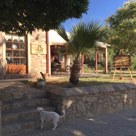 Datca Dusler Evi