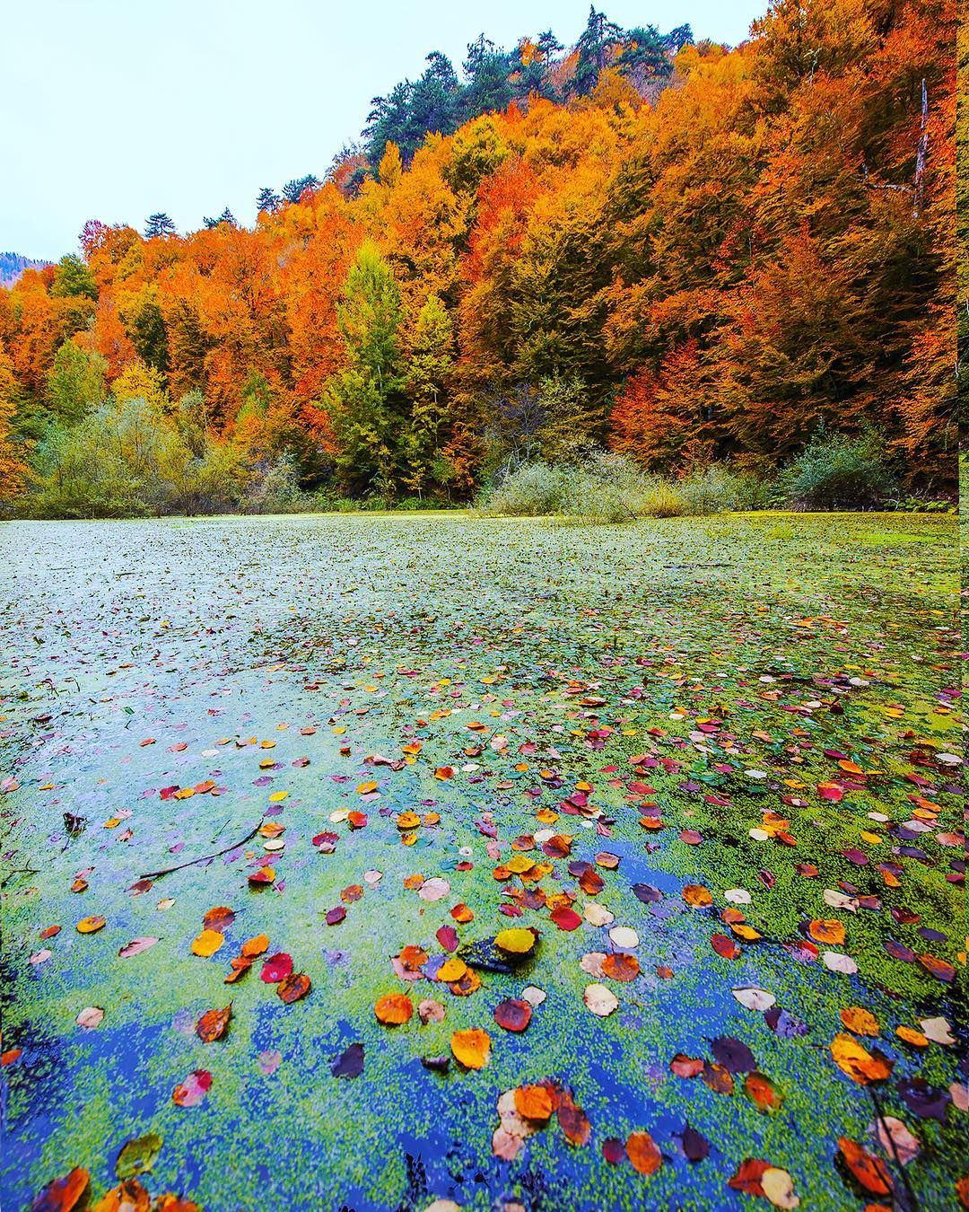 Yedigoller National Park