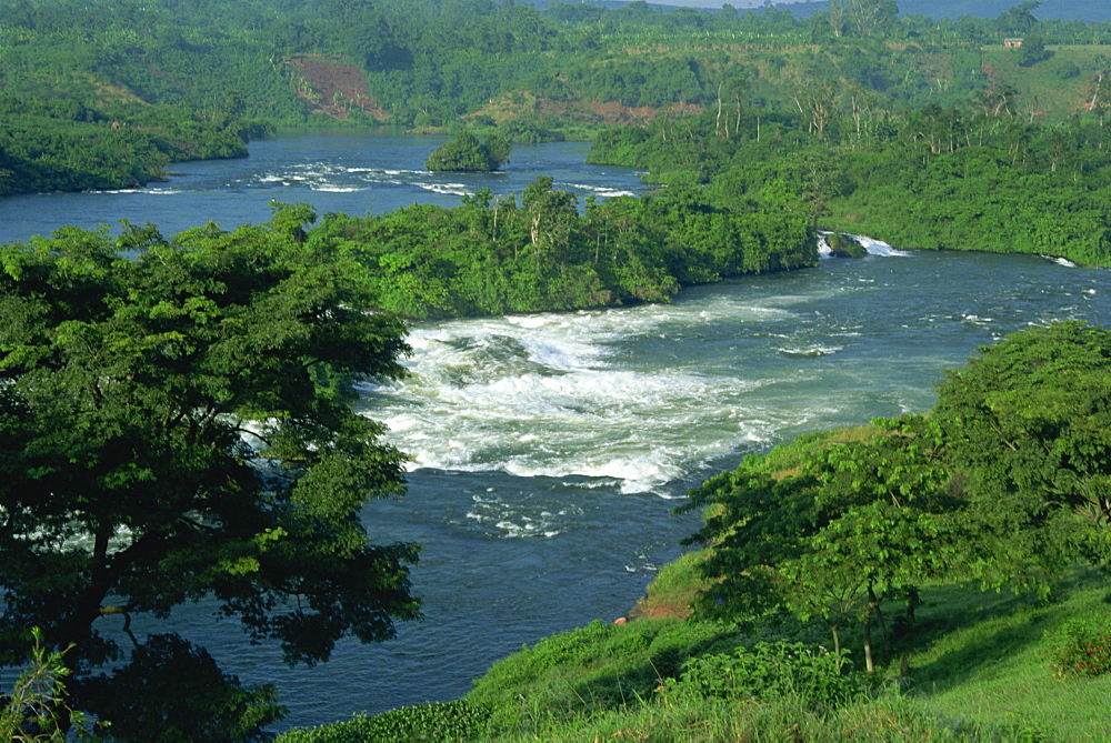 Victoria Nile