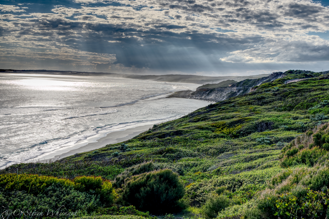 Eleven mile beach