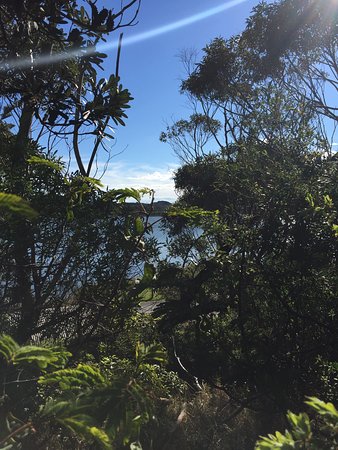 Snowy River Estuary Walk