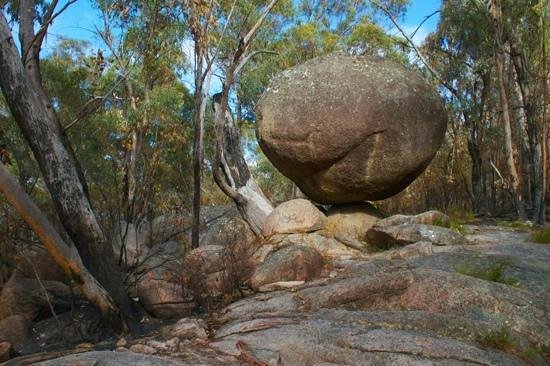 Girraween National Park