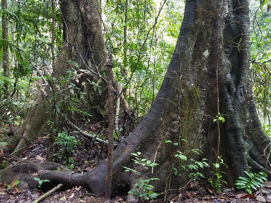 Ulidarra National Park