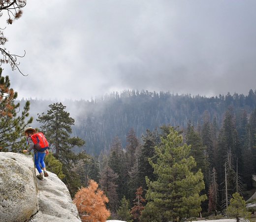 Buena Vista Peak Trail