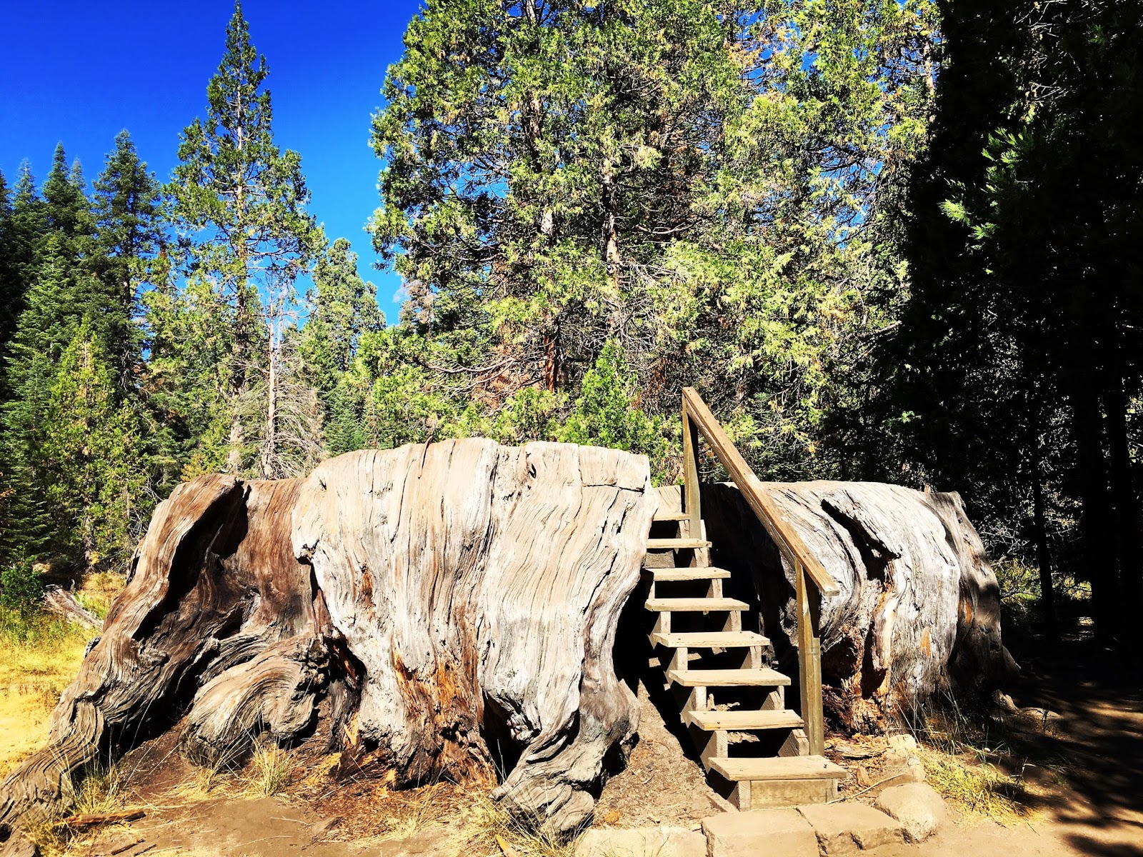 Big Stump Basin