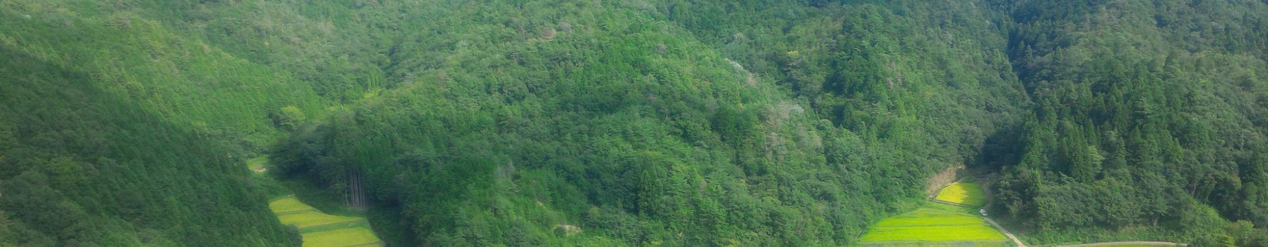 Minokamo Health Forest Park