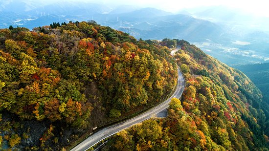 Ibukiyama Driveway