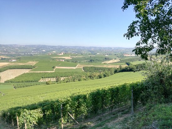 Belvedere di La Morra